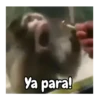 Monos 🍌🐒 (4x6h3f9pgm)