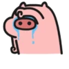 Meme Pink Pig 🐷 (37h2sfr9j6)