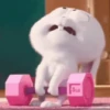 Memes Academia 🏋🏻‍♀️ (3gdpm9f4jx)