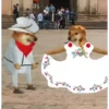 Musicales 25 (t2fwbkpjcr)