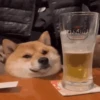 Pa la Peda (7vc2dwzfj5)