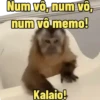 "Macaquin" boladão kkk (hsm56vcxg4)