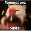 Expresiones animalezcas 🐾 (tjg5kcp3ns)