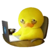 Duck 3D Animados 🦆🦆 (rc63gvb928)