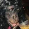 🦧Monkeys🦍Monos🐒Changos (bx7g32cjhw)
