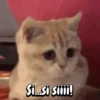 Expresiones animalezcas 🐾 (yfjcxz9g2n)