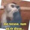 "Macaquin" boladão kkk (zncshmjvg9)
