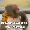 🦧Monkeys🦍Monos🐒Changos (rqwxy4f9ds)