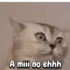 Expresiones animalezcas 🐾 (t7ydfbz8ms)