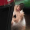 أنا أنظر إليك GIF (7kxqtbh5ns)