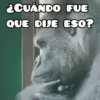 🦧Monkeys🦍Monos🐒Changos (8jx9mwrvp6)