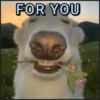 🐾⋆Perros|Dogs|Perritos🐾° (xszt864bm3)