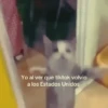 😆🎬¡VOLVIÓ TIKTOK!🎬😆 (mr6bgy59j2)