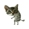 قطط مضحكة 😹 (psm3zdrbgv)