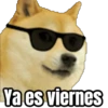 Perros para el chat 🤣🐕 (n23cghx6mt)