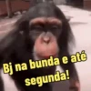 "Macaquin" boladão kkk (42xjvkb6sd)