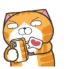 Happy Cat GIF 😸 (h4q7t2j8dz)