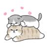Meme Kucing Bucin Couple Cat (dz98rs6mb3)