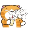 Happy Cat GIF 😸 (kzcps46jyg)
