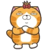 Happy Cat GIF 😸 (nh7d6cvbq9)