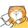 Happy Cat GIF 😸 (zykvsb3gqh)