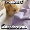 Funny's Rabbit 🥕🐇 (gj85fthkm6)