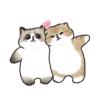 Meme Kucing Bucin Couple Cat (25847swg6f)