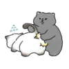 Meme Kucing Bucin Couple Cat (gjthsm7xzy)
