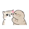 Meme Kucing Bucin Couple Cat (4gzf8w26bc)