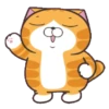 Happy Cat GIF 😸 (3mtrqzkj7b)
