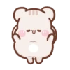 Marmut lucu imut (mtkhwjg9nd)