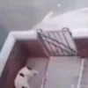 ضحكة مرحة (jtqhrx5b34)