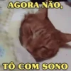 MEMES FOFOS 🥰 (2xzcyqpr8m)