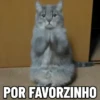 MEMES FOFOS 🥰 (tpwk75zfvc)