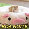 MEMES FOFOS 🥰 (9kx72ncqzy)