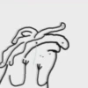 ♣️Flork Animado♣️ (dms5zbt73r)