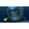 Sharks babyyy