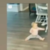 Bebés Graciosos