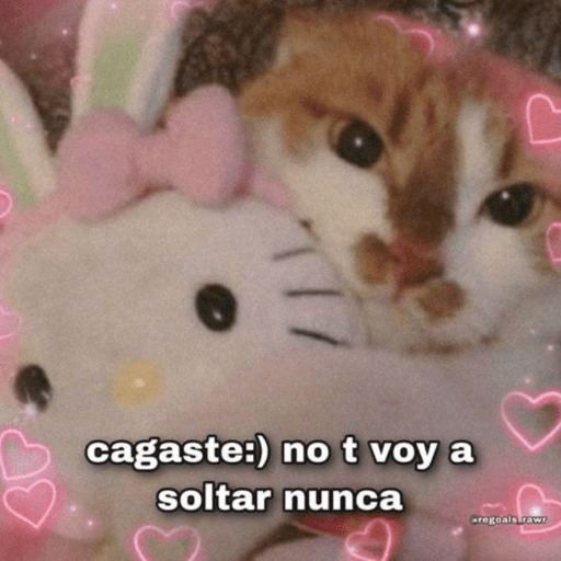 cagaste:) no t voy a soltar nunca aregoals rawi (k7pn43mxdb)
