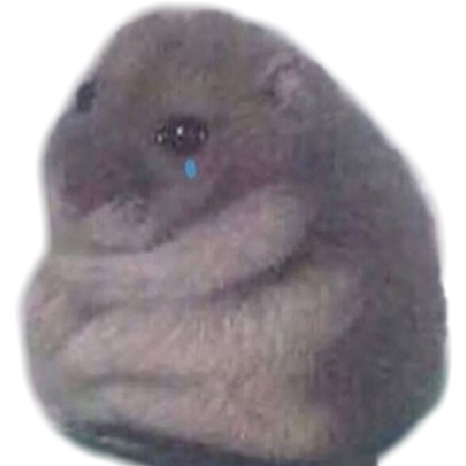 Sad triste (zs7brx463c)