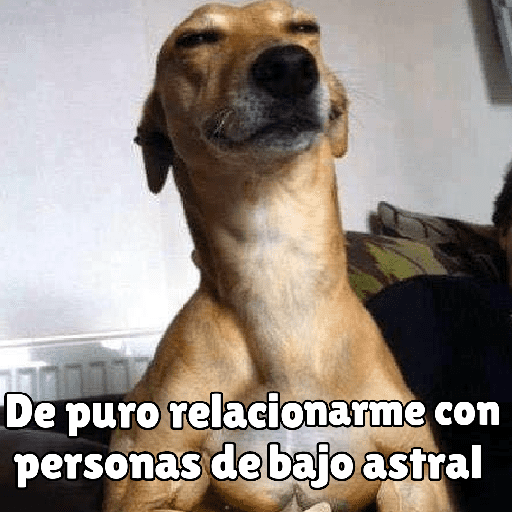 كلاب للدردشة 🐕 (j8bdnwk63c)
