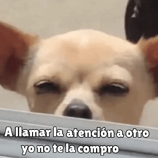 كلاب للدردشة 🐕 (hrsc3fqpwk)