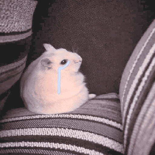 الهامستر 🐹 (5v6xgrktzp)