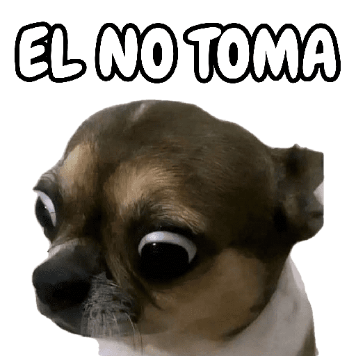 🐕🐶Perrito sin palabras 😬🙁 (kfvzpb8xrg)