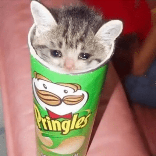 Pringles (dftwym294s)
