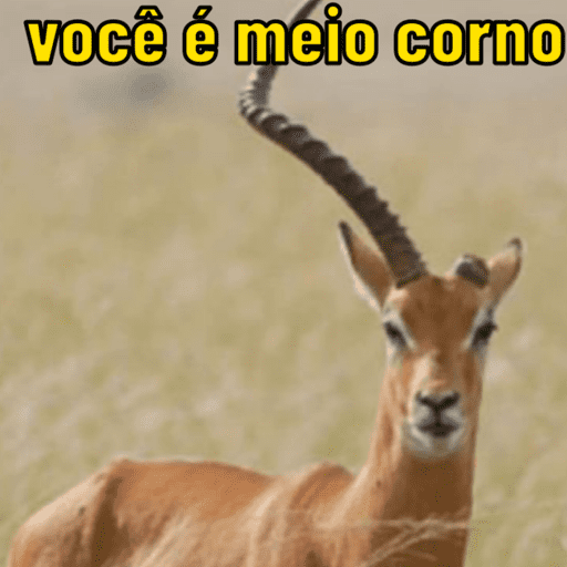 você é meio corno (87mfvd2h6p)