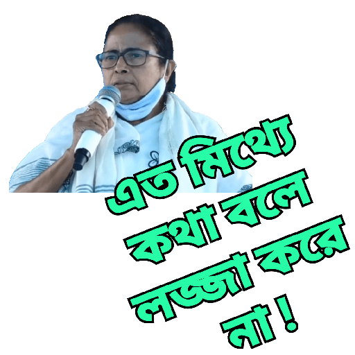 এত মিথ্যে কথা বলে লজ্জা করে না ! (txd49z8bkw)