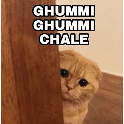 Pookiee Cat 😺🎀 (2gpsk3rwhj)