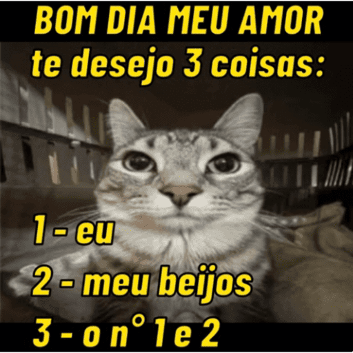 BOM DIA MEU AMOR te desejo 3 coisas: 1-eu 2-meu beijos (x6hbg2ktsf)
