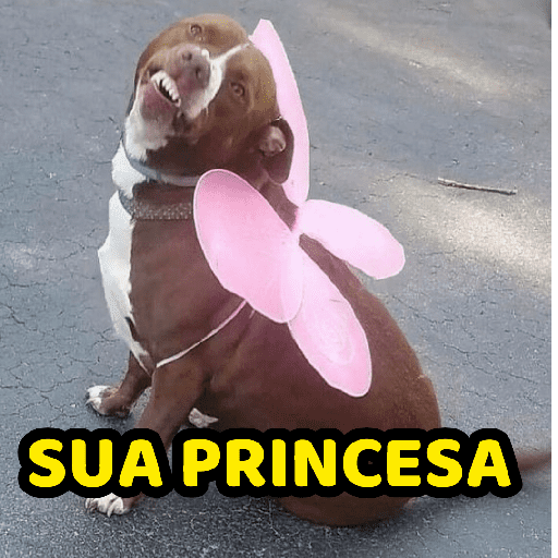 SUA PRINCESA (p7gf2wr9ty)
